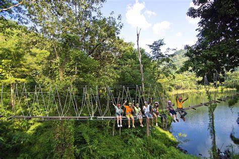 Nearby Activities