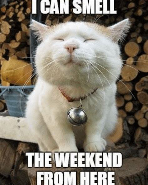 Nearly The Weekend Memes