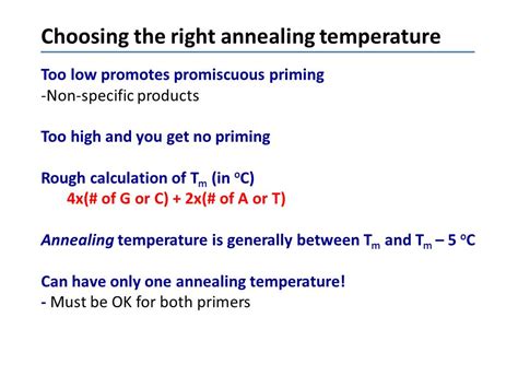 Optimize your Neb Annealing Process with our Temperature Calculator
