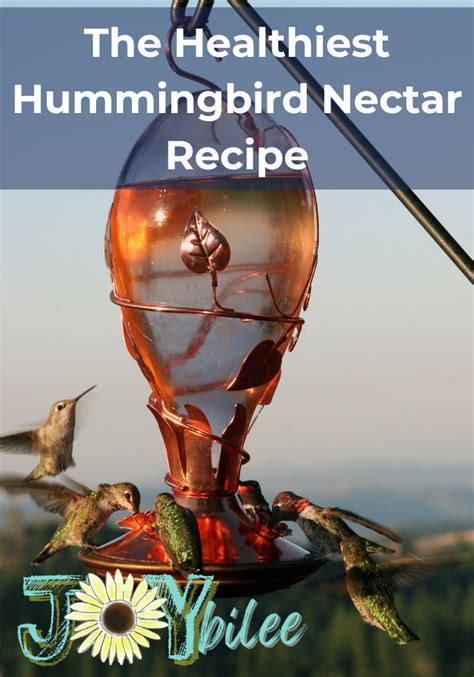 Nectar Recipe For Hummingbirds