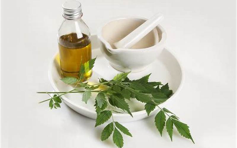 neem oil for plants
