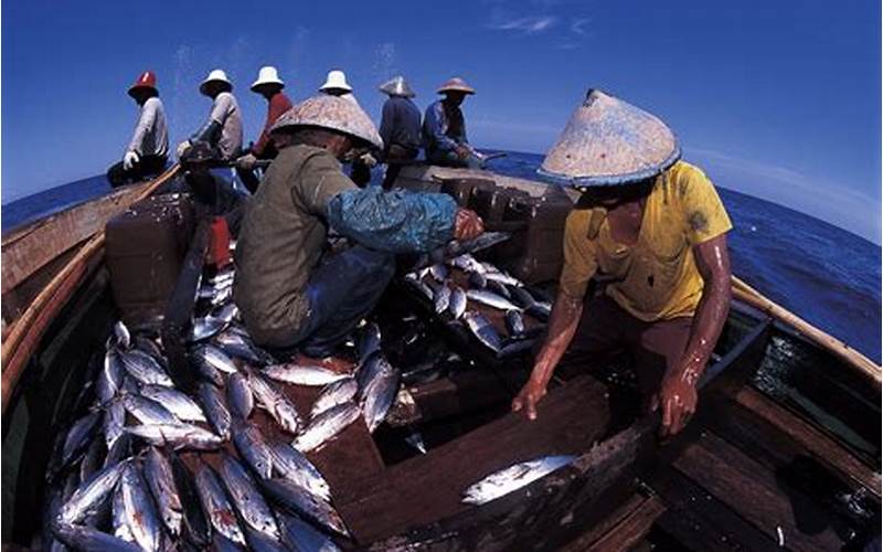 Nelayan Di Indonesia