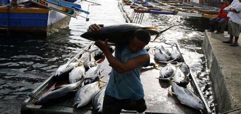 Nelayan Ikan Dengan Skala Besar Yang