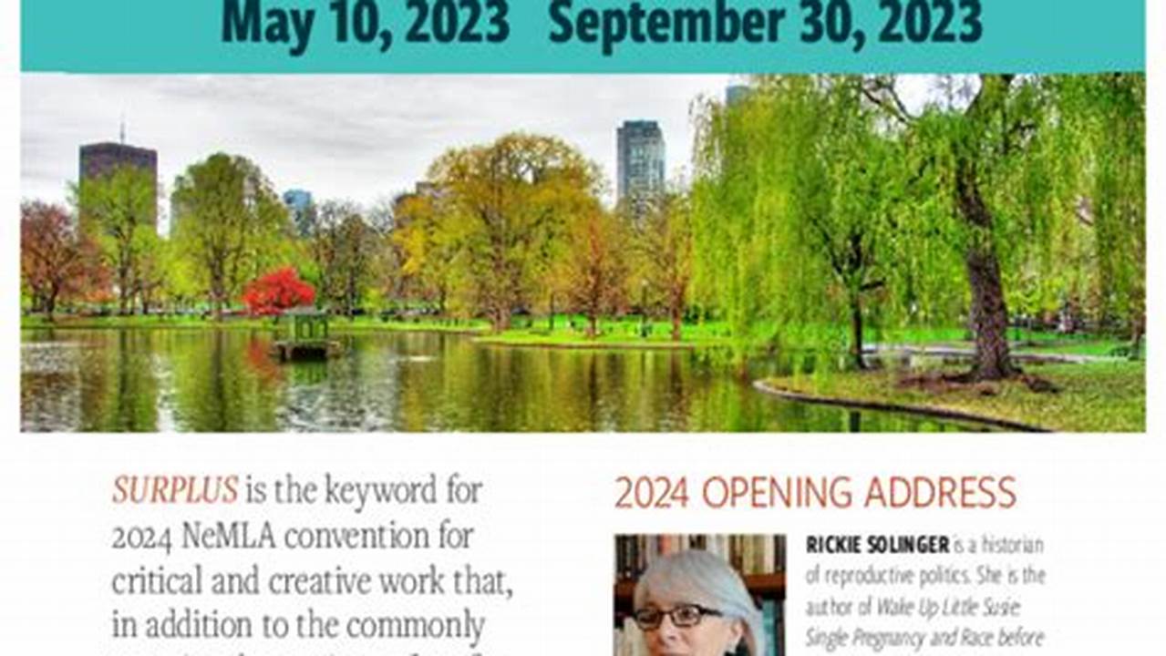 Nemla 2024 Conference Paper