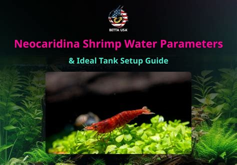 Neocaridina Shrimp Water Parameters Chart