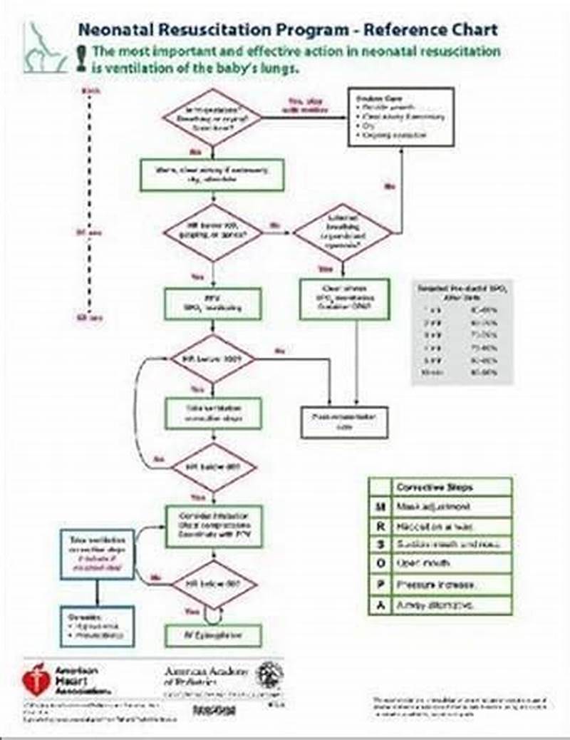 Neonatal Resuscitation Program Reference Chart