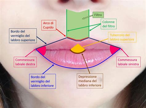 Dott. Mariani Umberto - NEOFORMAZIONE LABBRO INFERIORE - YouTube