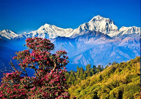 Nepal landscape