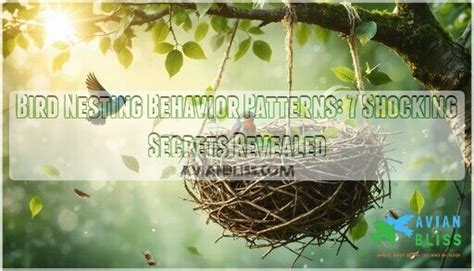 Aspen Bird Nesting behaviour