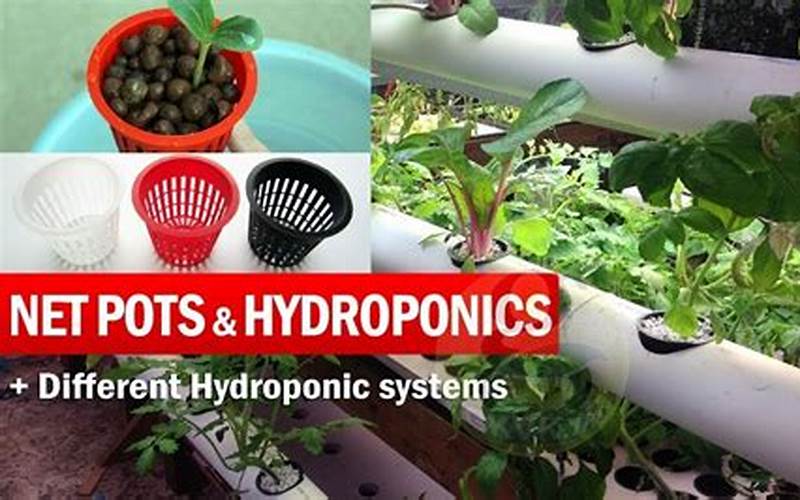 Net Pot For Hydroponic Gardening