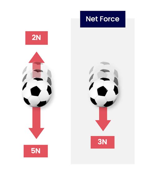 Unlocking the Mysteries of Net Force Science: The Ultimate Guide to Defining the Power Within