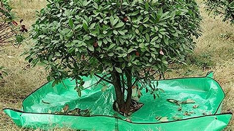 Net To Catch Leaves