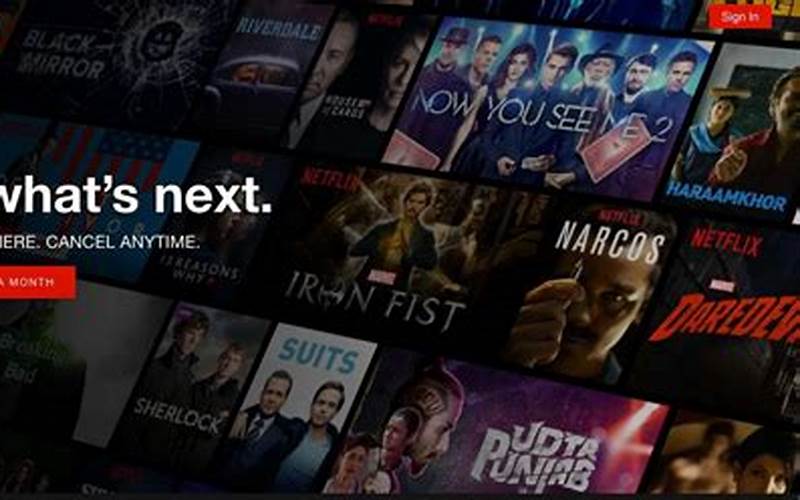 Netflix Content Library
