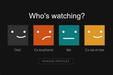 Netflix Account