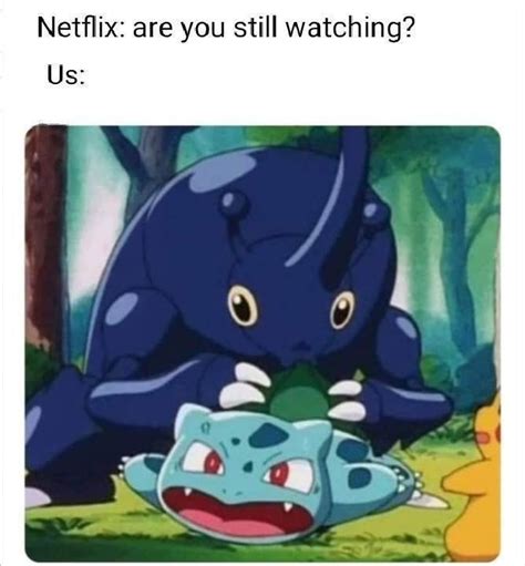 Netflix Are You Watching Meme