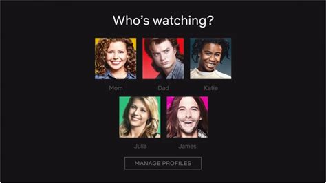 Netflix Profiles
