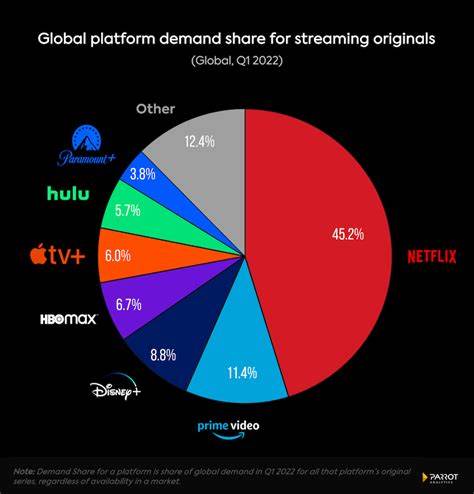 Netflix Streaming Sharing