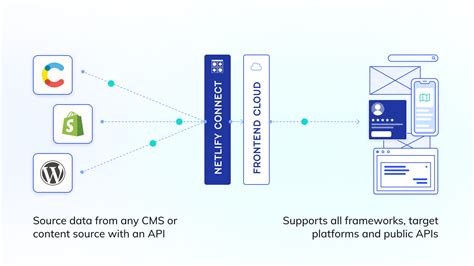 Netify App contingent