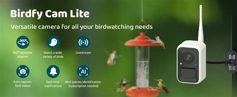 Netvue Birdfy Feeder AI sample video