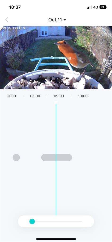 Netvue Birdfy Video Sample