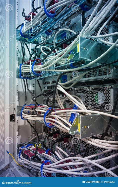 Network Cables Connected to Server