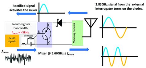 Neural Sensor Economy