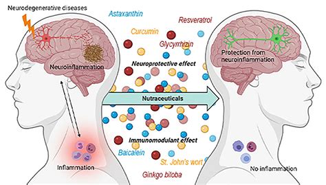 Neurodegeneration