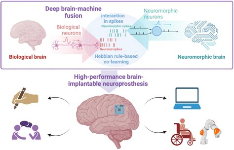 Neuromorphic computing
