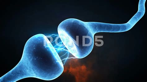 Explore the Wonders of Neural Communication with Neuron Synapse Animation
