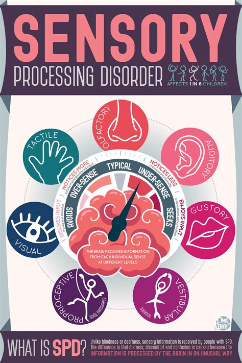 Sensory Processing Disorder diagram Special Needs Parenting