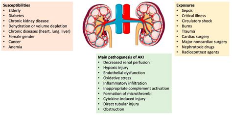 Neuropathy and Kidney Issues: Systemic Breakdown