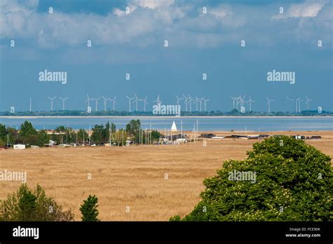 Neusiedler See landscape