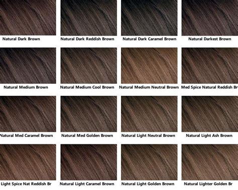 Neutral Brown Hair Color Chart