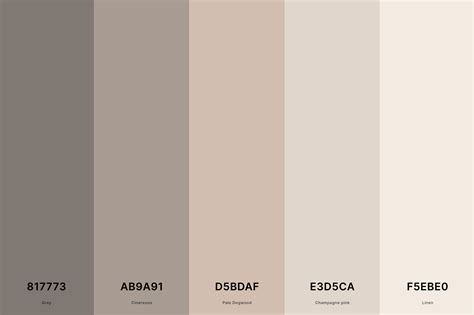 Neutral Color Paint Palette
