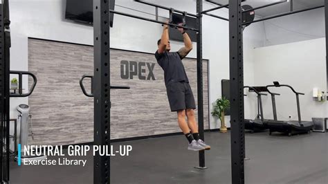 Neutral Grip Pull Up