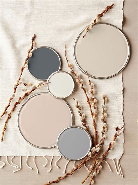 Neutral Paint Color Combinations