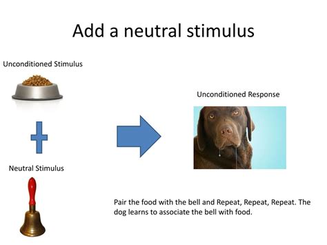 Neutral Stimulus Example