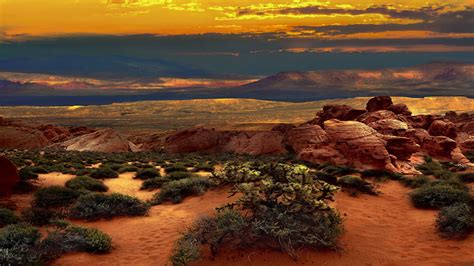 Nevada Desert Landscape