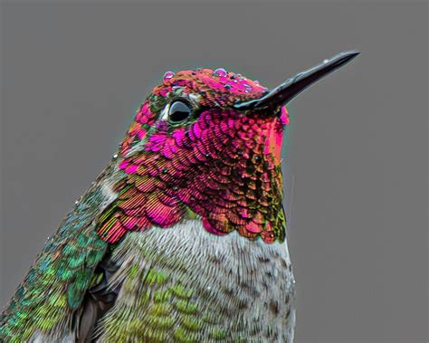 Never Let Them Sit Wet