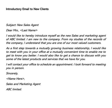 10 Business Introduction Email to Client Template SampleTemplatess
