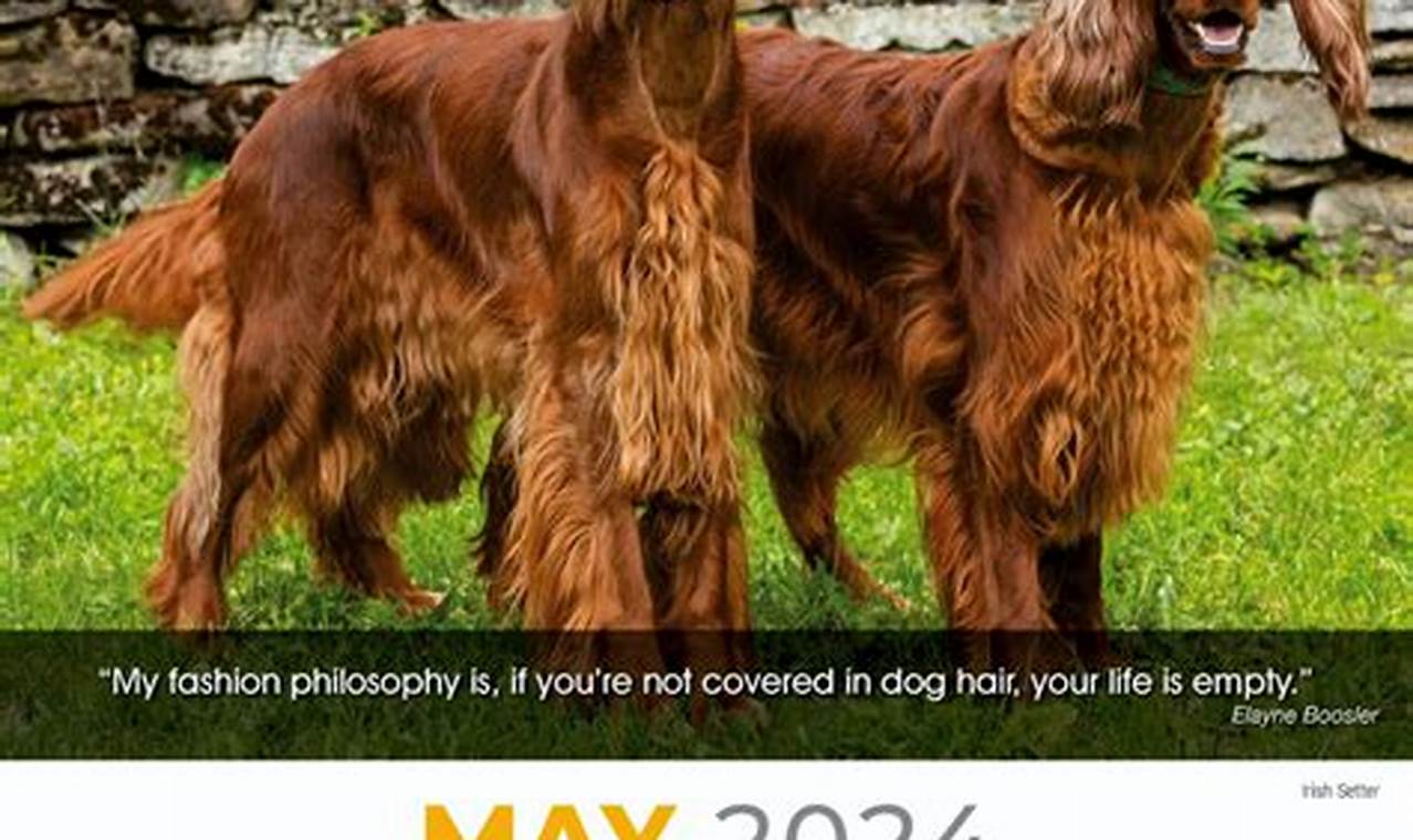 New Dog Film 2024 Calendar