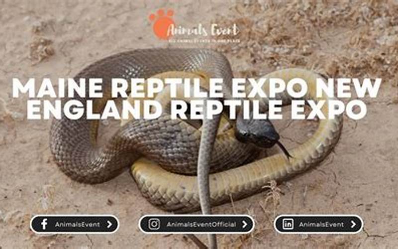 New Hampshire Reptile Expo Venue