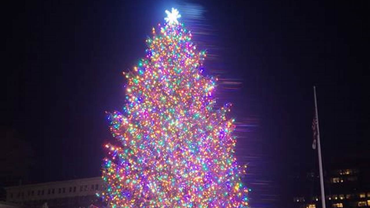 New Haven Tree Lighting 2025