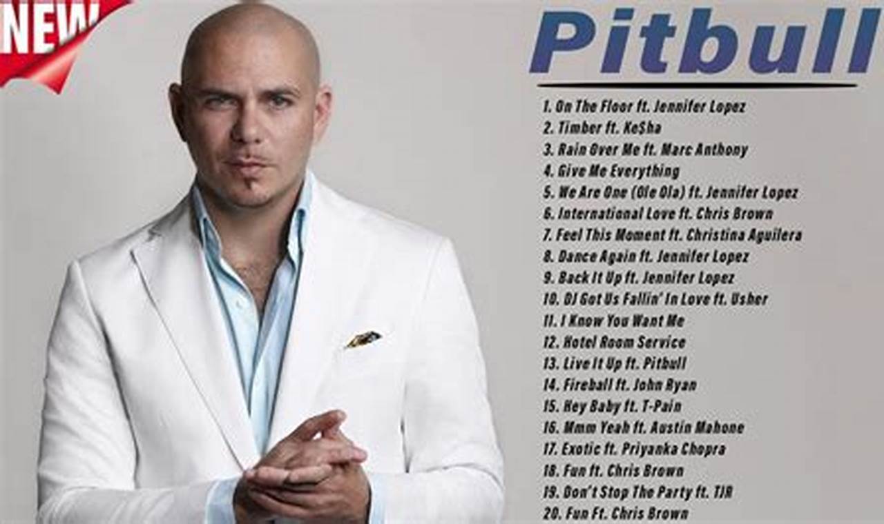 New Pitbull Song 2024