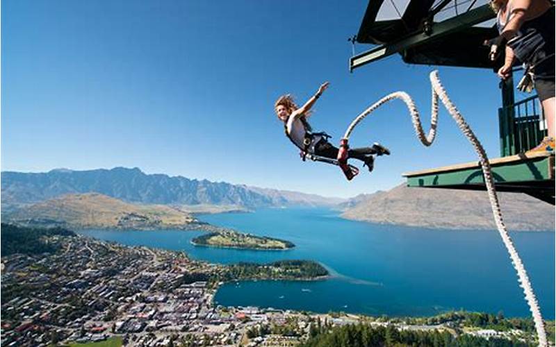 New Zealand Activities