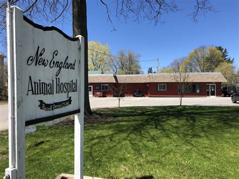 Complete Care for Your Furry Friends: New England Animal Hospital in Waterville, Maine