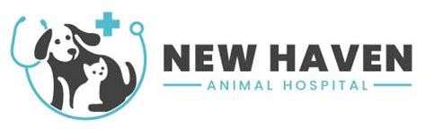 Expert Animal Care Services at New Haven Animal Hospital Ontario, CA - Your Pet's Health is Our Priority!