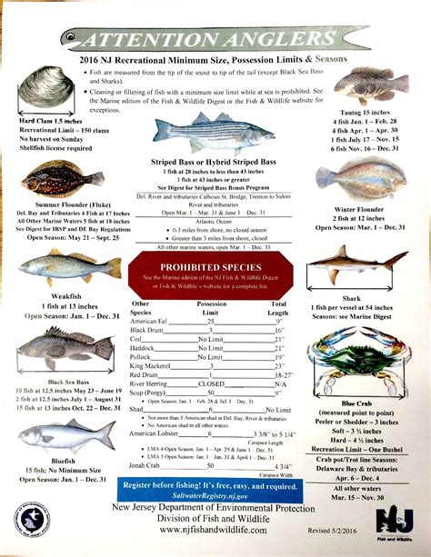 New Jersey Fishing Regulations