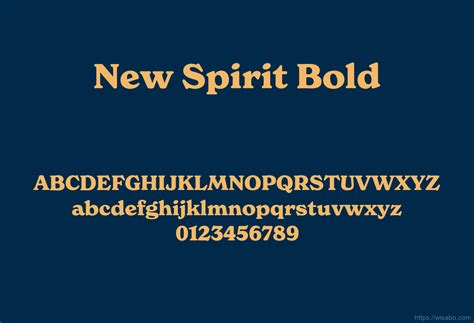New Spirit Bold Font - What Font Is