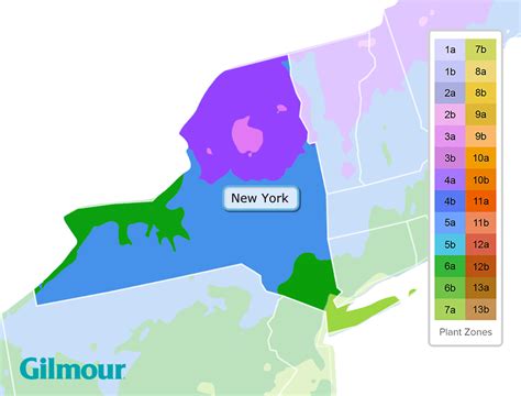 Precipitation New York Climate